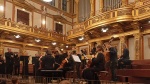 20250605_Zahl_Beer_Musikverein_028.jpg