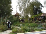 DSC01413.jpg