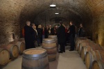 121120_thallern05.jpg