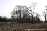 121209_2048.jpg