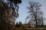 121209_2051.jpg