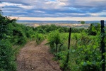 website_20210709_192011.jpg