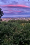 website_20210709_210701.jpg