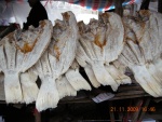 DSCN4866.jpg