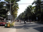 IMGP3441-1.jpg