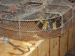 IMGP3543.jpg