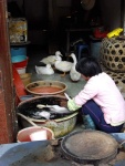 IMGP3567.jpg