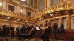 20250605_Zahl_Beer_Musikverein_028.jpg