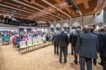 k-Halle_7036.jpg