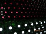 DSCN5169.jpg
