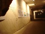 DSC01358.jpg