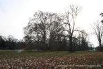 121209_2048.jpg