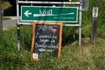 IMG_3254_koegl.jpg
