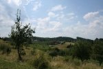 IMG_3259_koegl.jpg