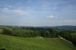 IMG_3409_mahorko.jpg