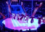 zirkus_310.jpg