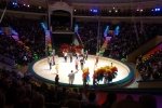 zirkus_318.jpg