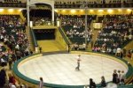 zirkus_5532.jpg