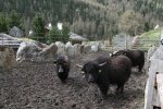 bearbeitet-1020235.jpg