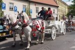 website_190504_krakau-5040100.jpg