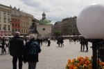 website_190504_krakau-5040143.jpg