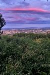 website_20210709_210701.jpg