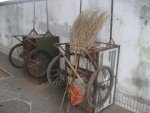 IMG_5717-1.jpg