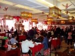 P1010079-1.jpg