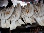 DSCN4866.jpg