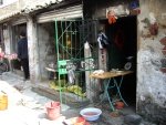 IMGP3438.jpg